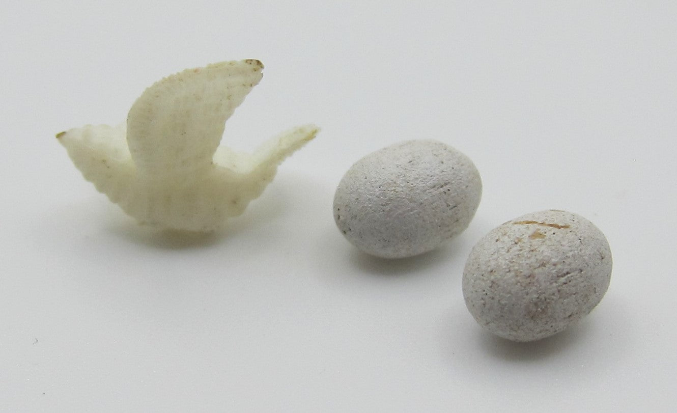 Dove & Eggs PAT1254