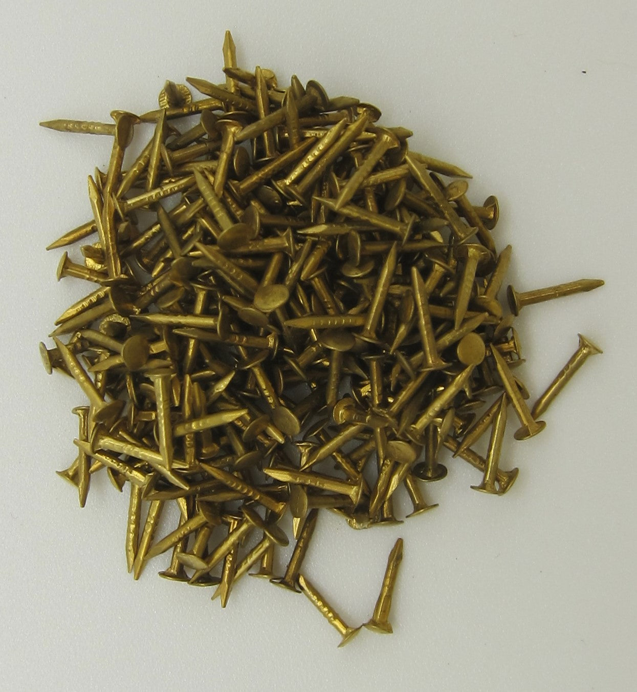Brass Nails X 100 PAT1436