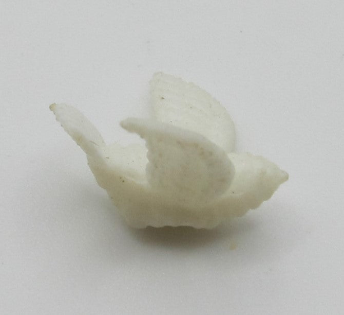 White Dove PAT1727