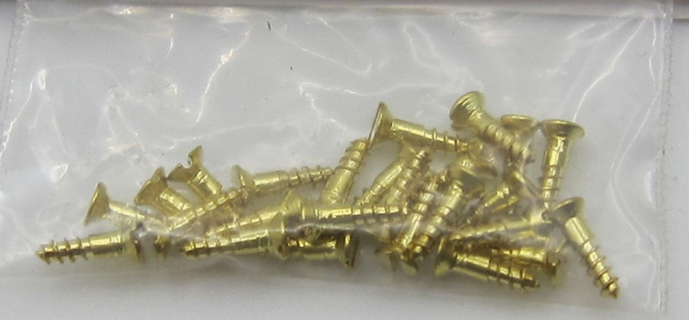Screws For Hinges PAT1788