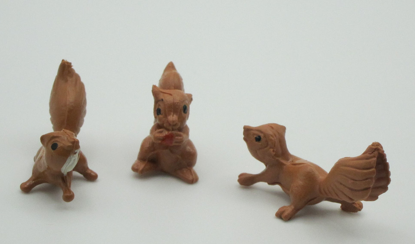 Three Brown Squirrels PAT1863