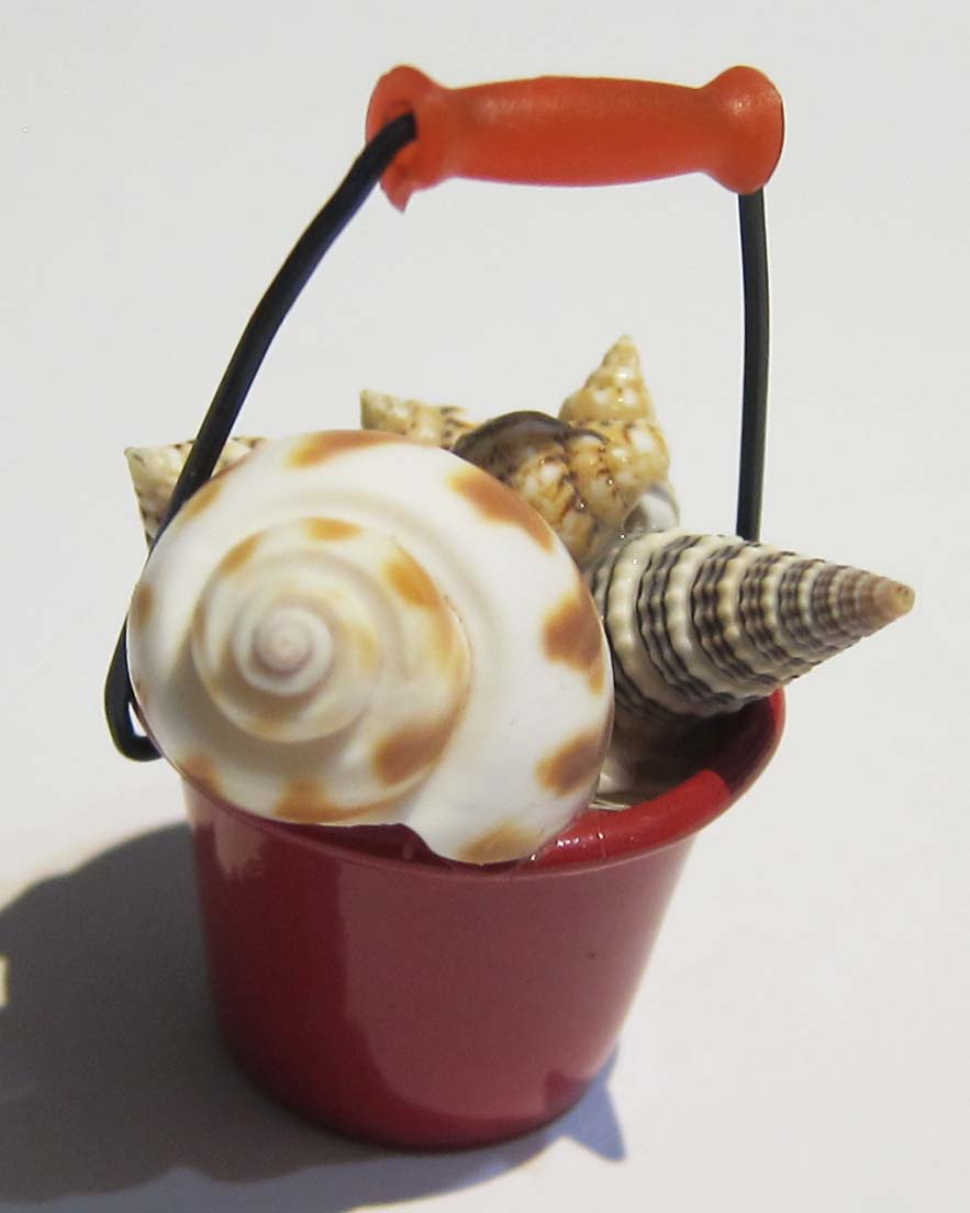 Bucket with Shells PAT406