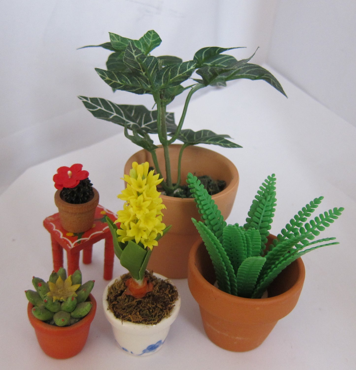 Potted Plant Selection PAT817