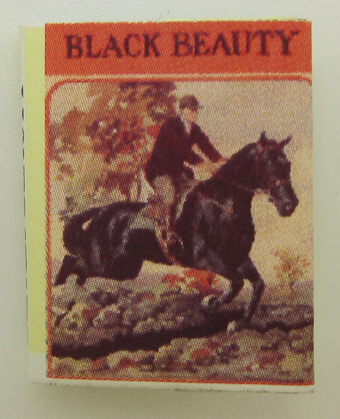 Black Beauty Book PAT1452