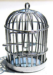 Bird Cage white AZZC753