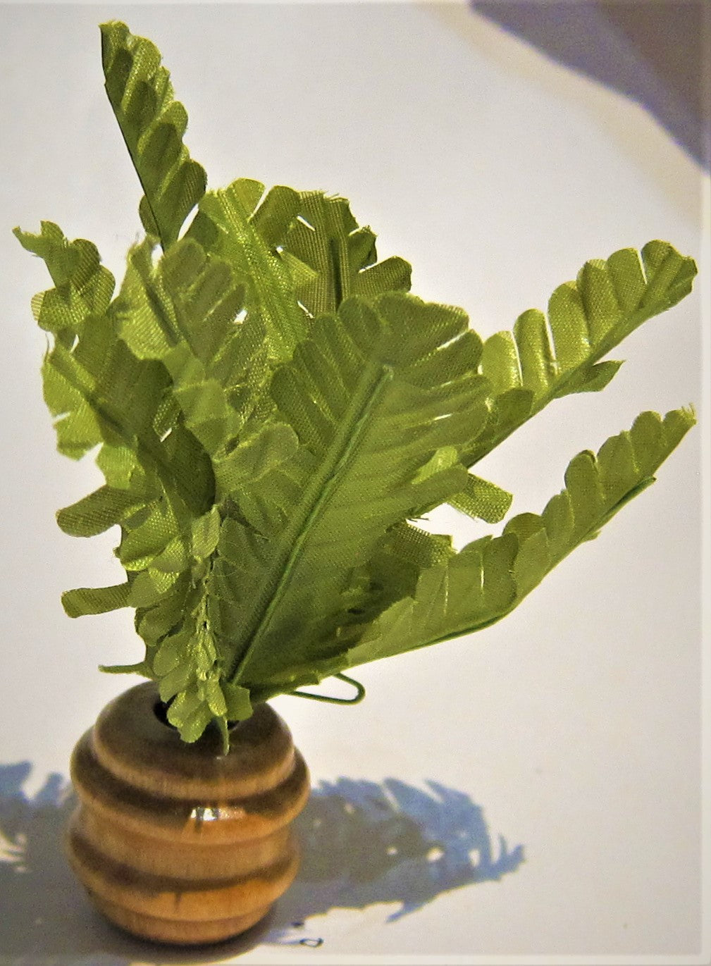 Fern in Wooden Pot PAT766