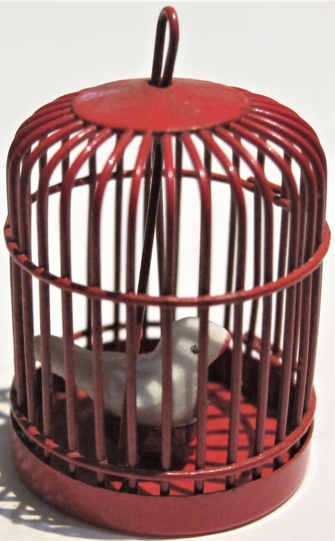 Bird in a Cage PAT323