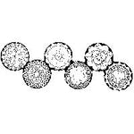 Doilies JKM150