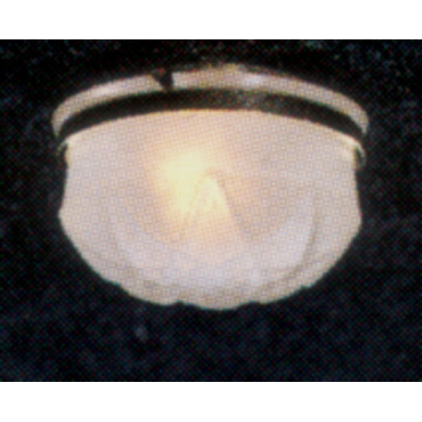 Ceiling Light MH853